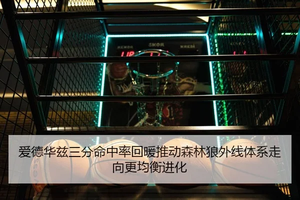 爱德华兹三分命中率回暖推动森林狼外线体系走向更均衡进化