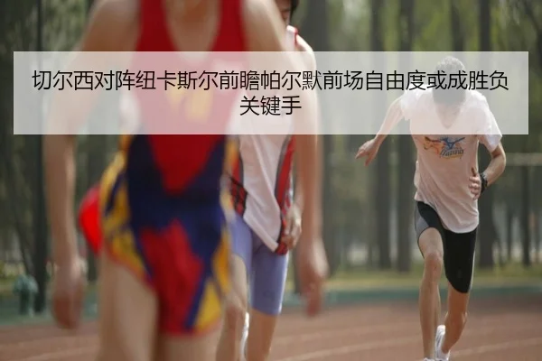 切尔西对阵纽卡斯尔前瞻帕尔默前场自由度或成胜负关键手
